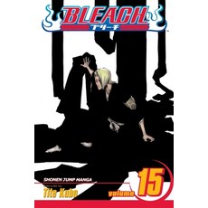 (英文圖書) Bleach Vol. 15 平裝版, Viz Media, 英文