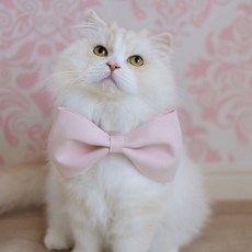 Ricordo 大蝴蝶結貓狗寵物項圈, 1個, 粉色