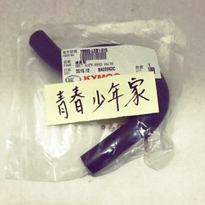 KYMCO 二次空氣通氣管, 18660-LEB1-910