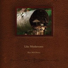 Like Mushrooms 平裝版, Celticfrog Publishing, 英文