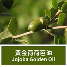 馥靖精油 黃金荷荷芭油 Jojoba Golden Oil 高品質 100ml 500ml, Unscented