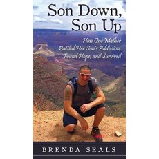 (英文圖書) Son Down Son Up: How One Mother Battled Her Son's Addiction Found Hope and Survived 精裝版, Crippled Beagle Publishing, 英文