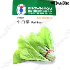 【蔬菜種子】小白菜種子 小白菜 菜種子 種子 農友種子 農友, 詳見包裝, 小白菜種子