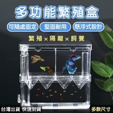 多功能隔離盒 繁殖盒 產卵盒 孔雀魚隔離箱 小魚產房, 水族隔離繁殖盒_Ｌ號