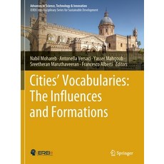 (英文圖書) Cities' Vocabularies: The Influences and Formations 平裝版, Springer, 英文