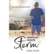 Seeking The Sun Through The Storm: The Stroke That Saved My Life 平裝版, Donnie Edison, 英文