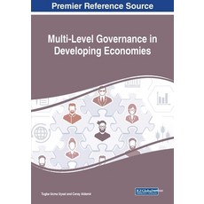 Multi-Level Governance in Developing Economies 平裝版, Information Science Reference, 英文