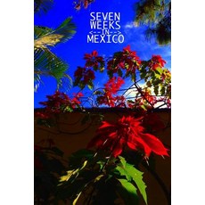 (英文圖書) Seven Weeks In Mexico: Bufogenesis Book 1 平裝版, Independently Published, 英文