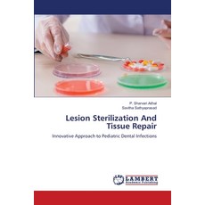 (英文圖書) Lesion Sterilization And Tissue Repair 平裝版, LAP Lambert Academic Publis..., 英文
