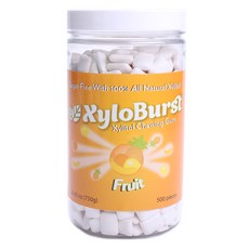 Focus NUTRITION 木糖醇口香糖 500入, 750g, 1個