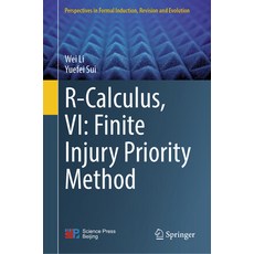 (英文圖書) R-Calculus VI: Finite Injury Priority Method 精裝版, Springer, 英文