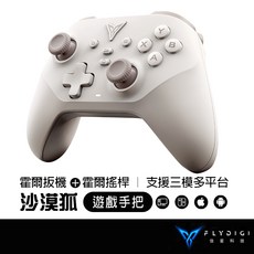 FLYDIGI 飛智 DuneFox 沙漠狐 雙霍爾無線遊戲手把, 1個, Dune Fox