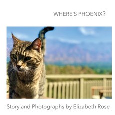 (英文圖書)Where's Phoenix? 精裝版, Phase Publishing, 英文