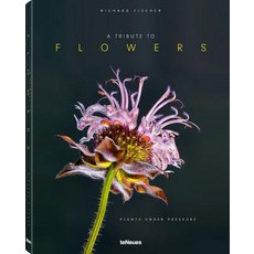 (英文圖書) A Tribute to Flowers: Plants Under Pressure 精裝版, Te Neues Publishing Company, 英文