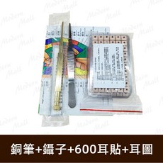 按摩耳模型 穴位教學展示教具