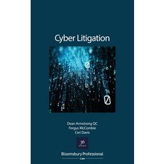Cyber Litigation: The Legal Principles 平裝版, Tottel Publishing, 英文