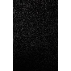 (英文圖書) The 4 Year Journal: Fully Customizable Daily Journal Record Keeper Gratitude or Prayer Jour... 精裝版, Lulu.com, 英文