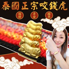 正宗泰國咬錢虎手環 咬錢虎手繩 龍波本廟龍波三安開光 兒童手鍊 招財 平安