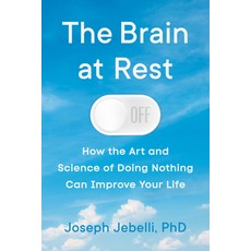 (英文圖書) The Brain at Rest: How the Art and Science of Doing Nothing Has the Power to Im... 精裝版, Dutton, 英文