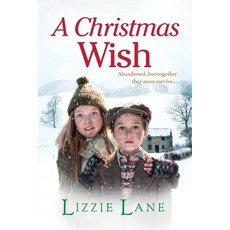 (英文圖書) A Christmas Wish 平裝版, Boldwood Books Ltd, 英文