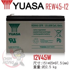 YUASA湯淺REW45-12閥調密閉式鉛酸電池 12V45W UPS不斷電系統 消防系統 兒童電動車 玩具車, 米, 1個
