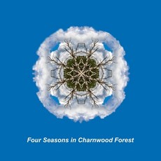 (英文圖書) Four Seasons in the Charnwood Forest 平裝版, Independently Published, 英文