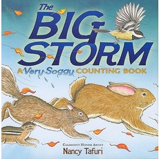 (英文圖書)The Big Storm: A Very Soggy Counting Book 精裝版, Simon & Schuster Books for ..., 英文