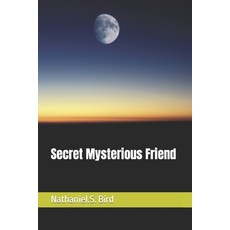 (英文圖書) Secret Mysterious Friend 平裝版, Independently Published, 英文