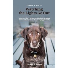 (英文圖書) Bessie's Story - Watching the Lights Go Out 平裝版, Bessie's Story, LLC, 英文