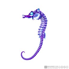 海琉生態藝術工作室 透明生物標本 海馬 15ml 海洋生物模型 標本收藏, 1個