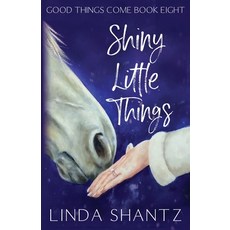 (英文圖書) Shiny Little Things 平裝版, Linda Shantz, 英文