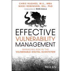 (英文圖書) Effective Vulnerability Management: Managing Risk in the Vulnerable Digital Ecosystem 平裝版, Wiley, 英文