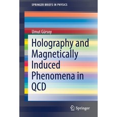 (英文圖書) Holography and Magnetically Induced Phenomena in QCD 平裝版, Springer, 英文