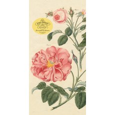 (英文圖書) John Derian Paper Goods: Everything Roses Notepad 平裝版, Artisan Publishers, 英文