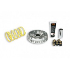 MALOSSI 傳動套件組 MAJESTY250