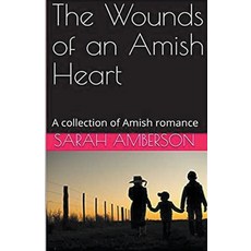 (英文圖書) The Wounds of an Amish Heart 平裝版, Trellis Publishing, 英文