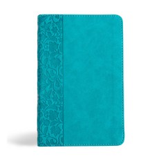(英文圖書) NASB Personal Size Bible Teal Leathertouch Imitation Leather, Holman Bibles, 英文, 仿皮