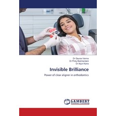 (英文圖書) Invisible Brilliance 平裝版, LAP Lambert Academic Publis..., 英文