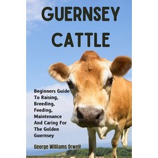 (英文圖書) Guernsey Cattle: Beginners Guide To Raising Breeding Feeding Maintenance And... 平裝版, Independently Published, 英文