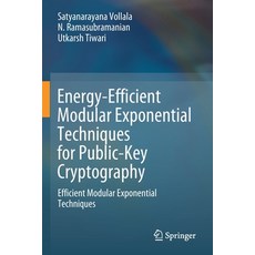 (英文圖書) Energy-Efficient Modular Exponential Techniques for Public-Key Cryptography: Efficient Modula... 平裝版, Springer, 英文