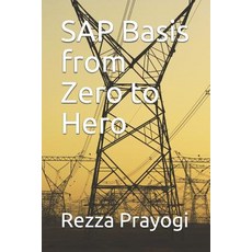 SAP Basis from Zero to Hero 平裝版, Independently Published, 英文