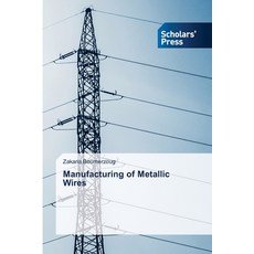 (英文圖書) Manufacturing of Metallic Wires 平裝版, Scholars' Press, 英文