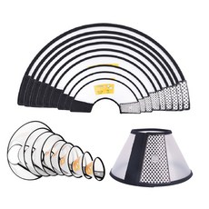 伊莉莎白頸圈, 白色黑邊, 1個