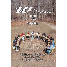 (英文圖書)Wisdom from the Spring: A Collection of Short StoriesFrom The Class of 2010Cold... 平裝版, iUniverse, 英文