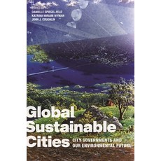(英文圖書) Global Sustainable Cities: City Governments and Our Environmental Future 平裝版, New York University Press, 英文