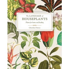 The Language of Houseplants: Harness Healing and Energy in the Home 平裝版, Rockpool Publishing, 英文