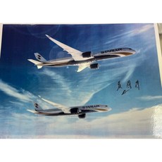 RBF 寄賣 張國煒簽名 星宇航空 New航空文物 模型 航空文物