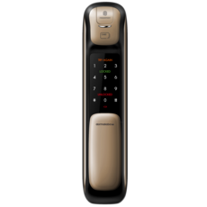 dormakaba 多瑪凱拔 AS701 4合1 推拉款電子鎖, 金色, 上門安裝