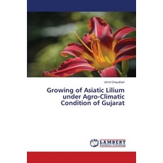 (英文圖書) Growing of Asiatic Lilium under Agro-Climatic Condition of Gujarat 平裝版, LAP Lambert Academic Publis..., 英文