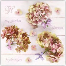 斑馬麥麥 餐巾紙 蝶古巴特 拼貼 餐巾紙 德國餐巾紙 手作 Decoupage DIY 手工藝材料